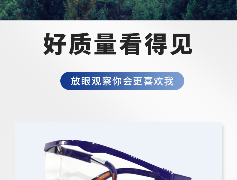 Honeywell霍尼韋爾100200 S200A加強(qiáng)防刮擦藍(lán)架防護(hù)眼鏡圖片5