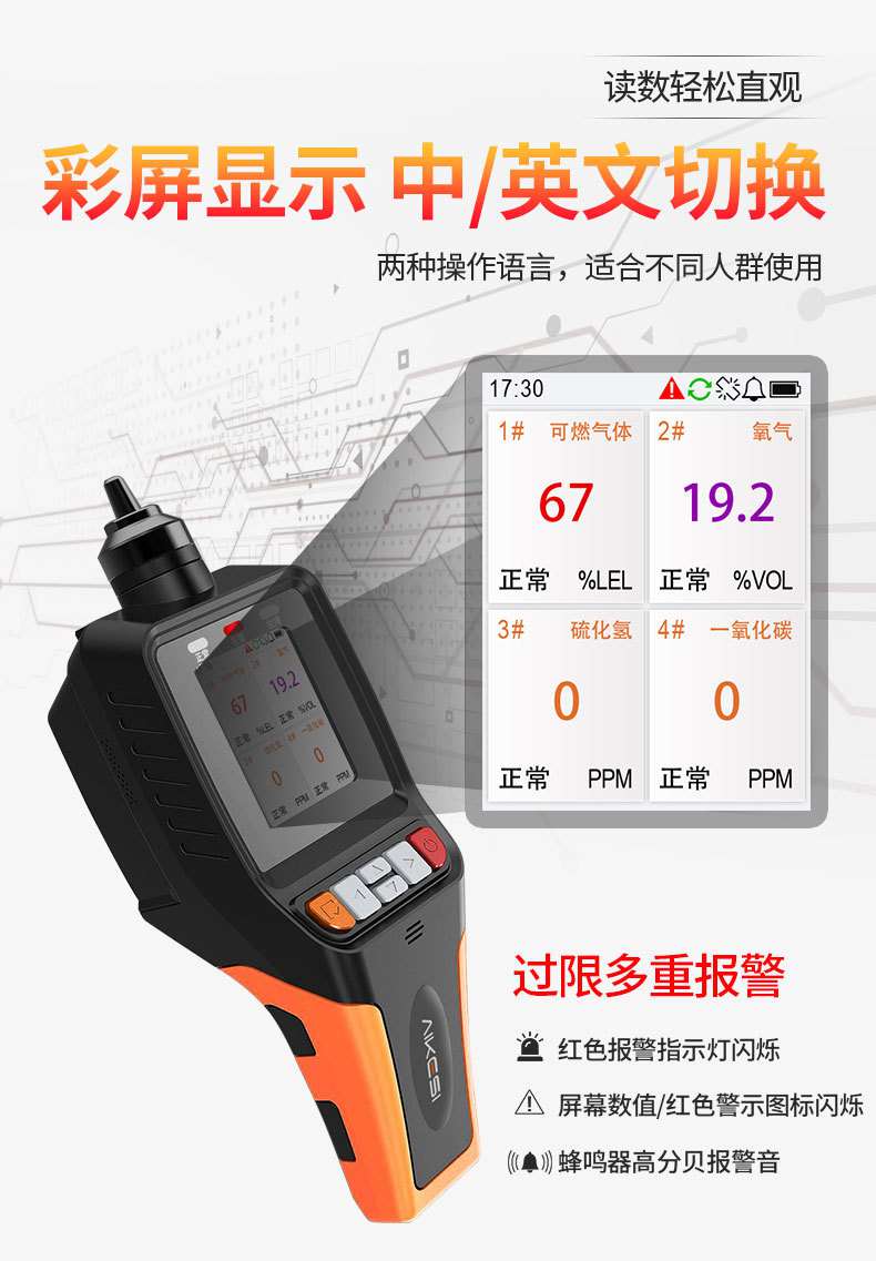 愛德克斯BX-168泵吸式氣體檢測儀10.jpg
