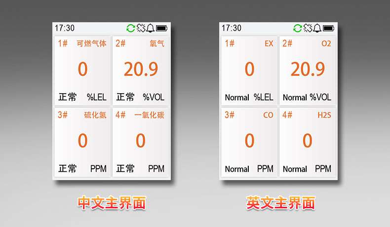 愛德克斯BX-168泵吸式氣體檢測儀11.jpg